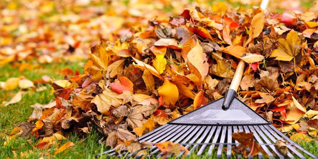 Leaf-Pickup
