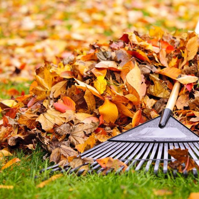 Leaf-Pickup